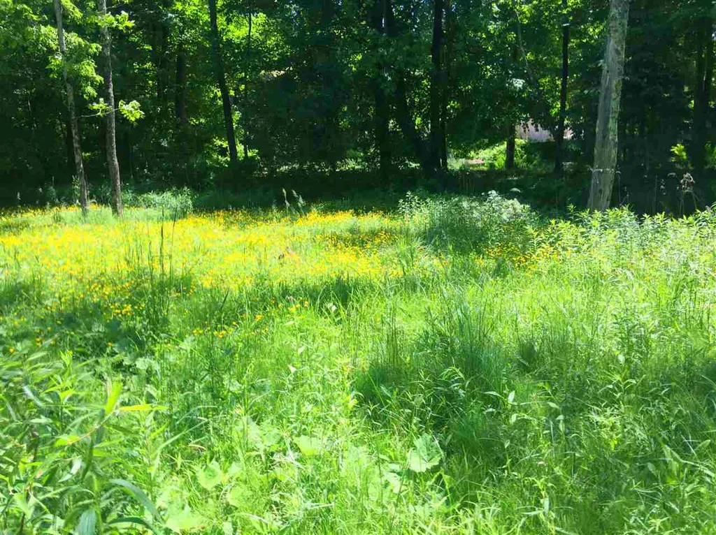 325 Lower Hollow Road Dorset VT 05251