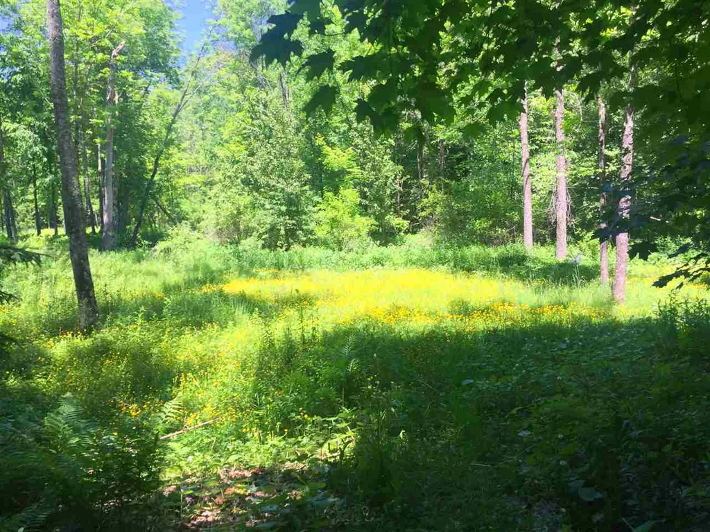 325 Lower Hollow Road Dorset VT 05251