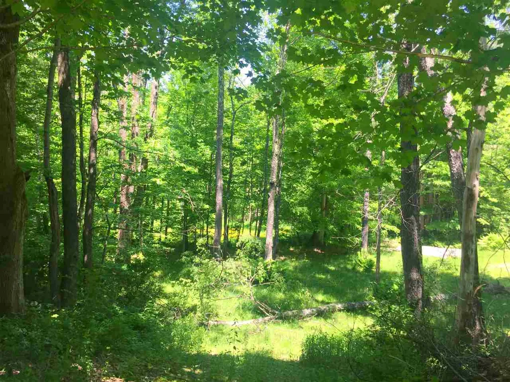 325 Lower Hollow Road Dorset VT 05251