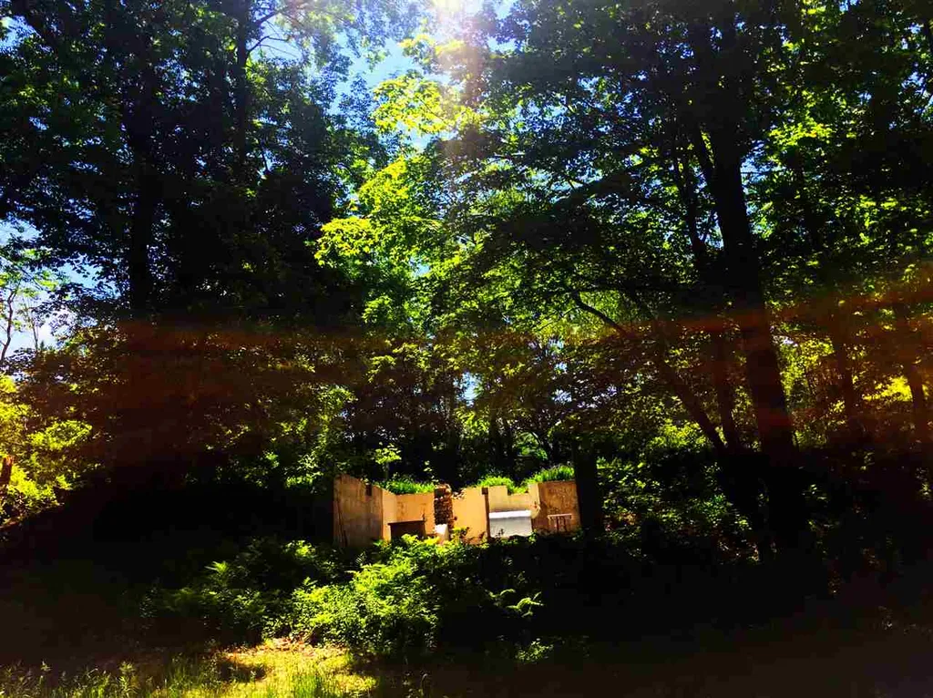 325 Lower Hollow Road Dorset VT 05251