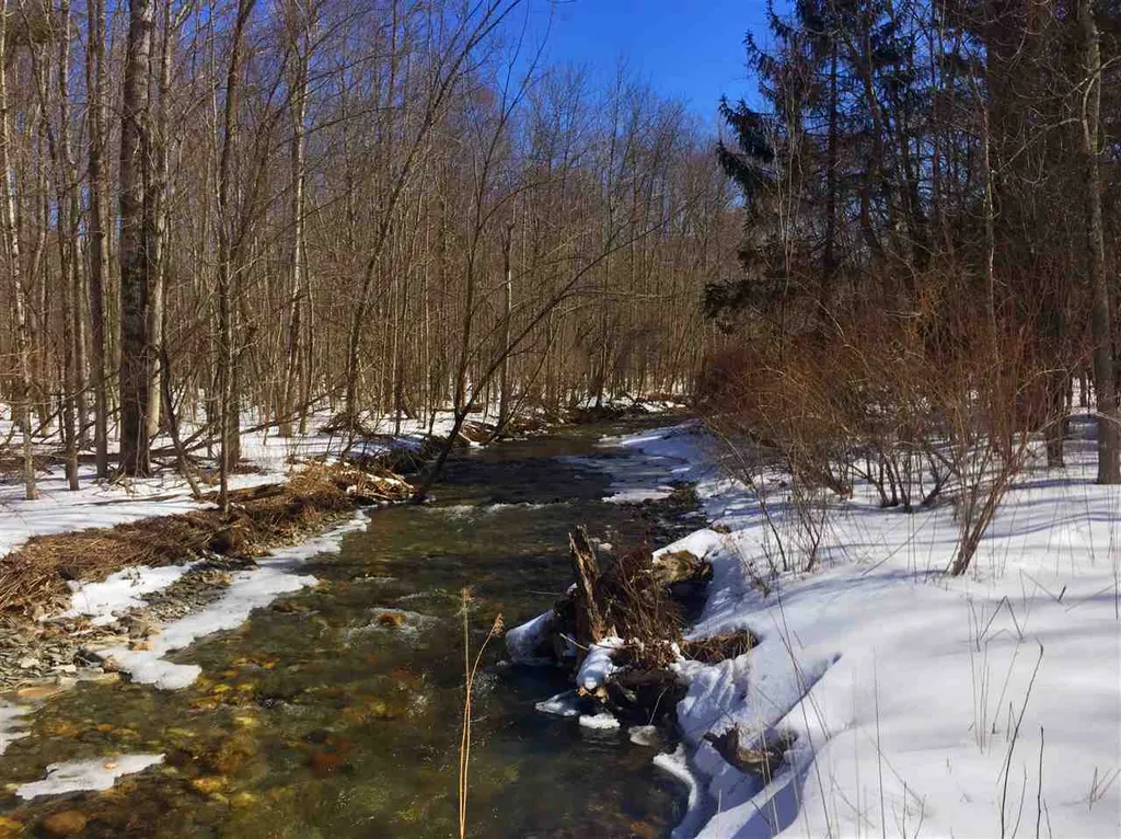325 Lower Hollow Road Dorset VT 05251