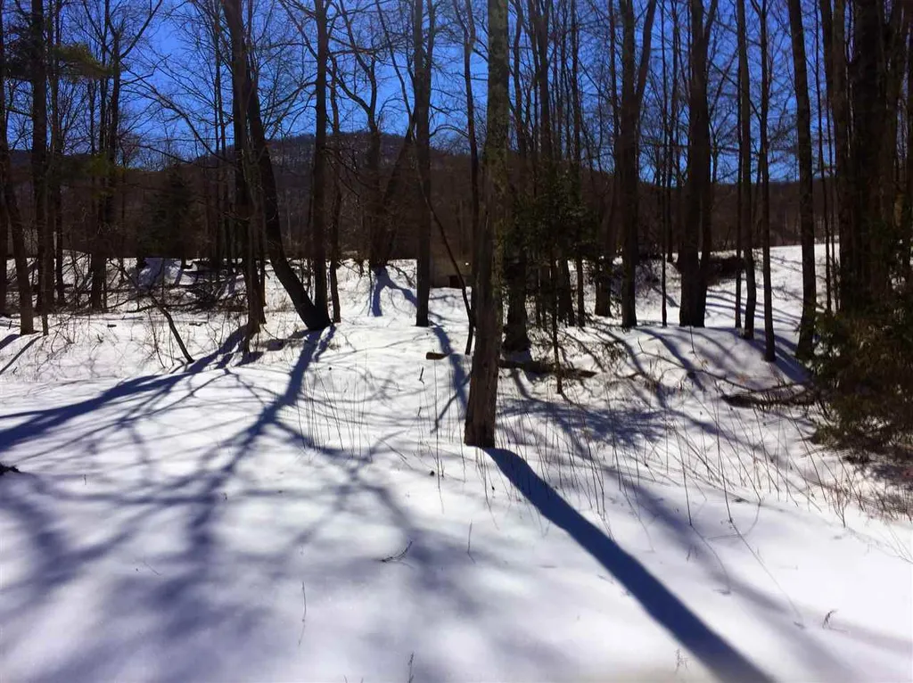 325 Lower Hollow Road Dorset VT 05251