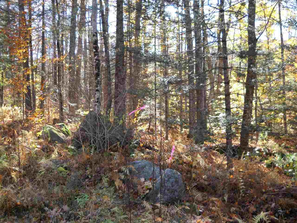 00 Piermont Heights Road Piermont NH 03779