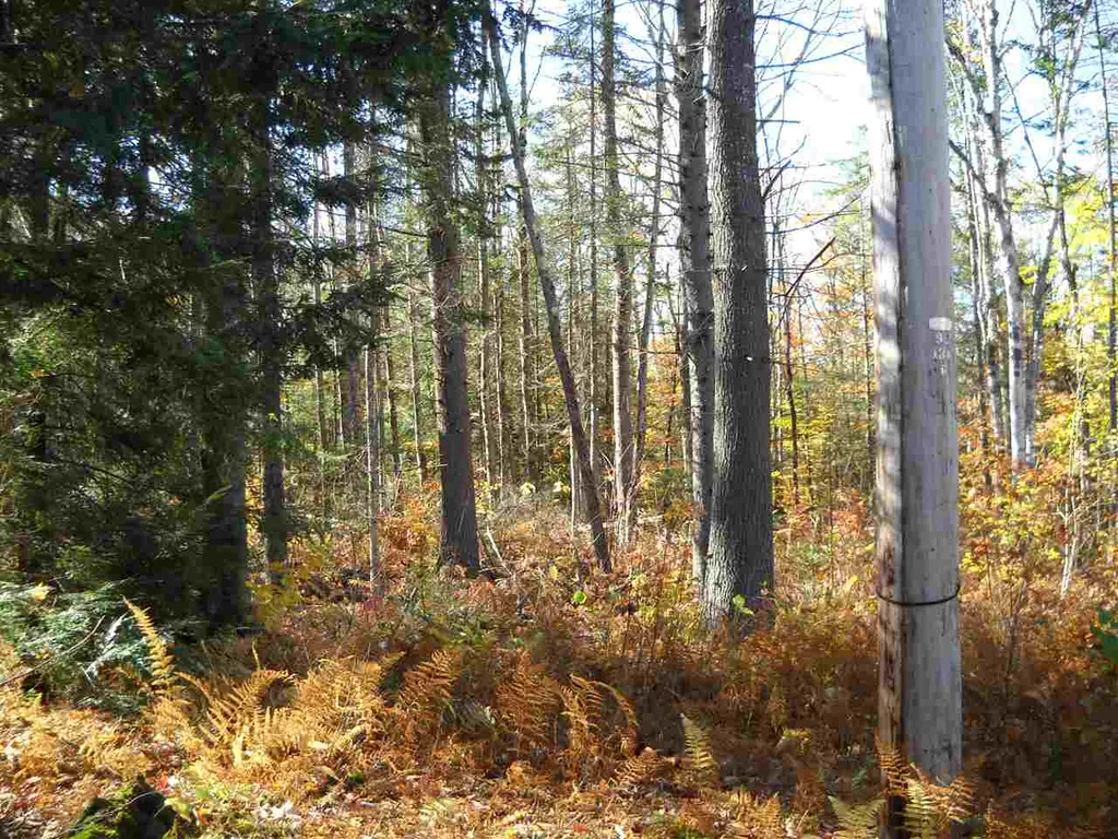 00 Piermont Heights Road Piermont NH 03779