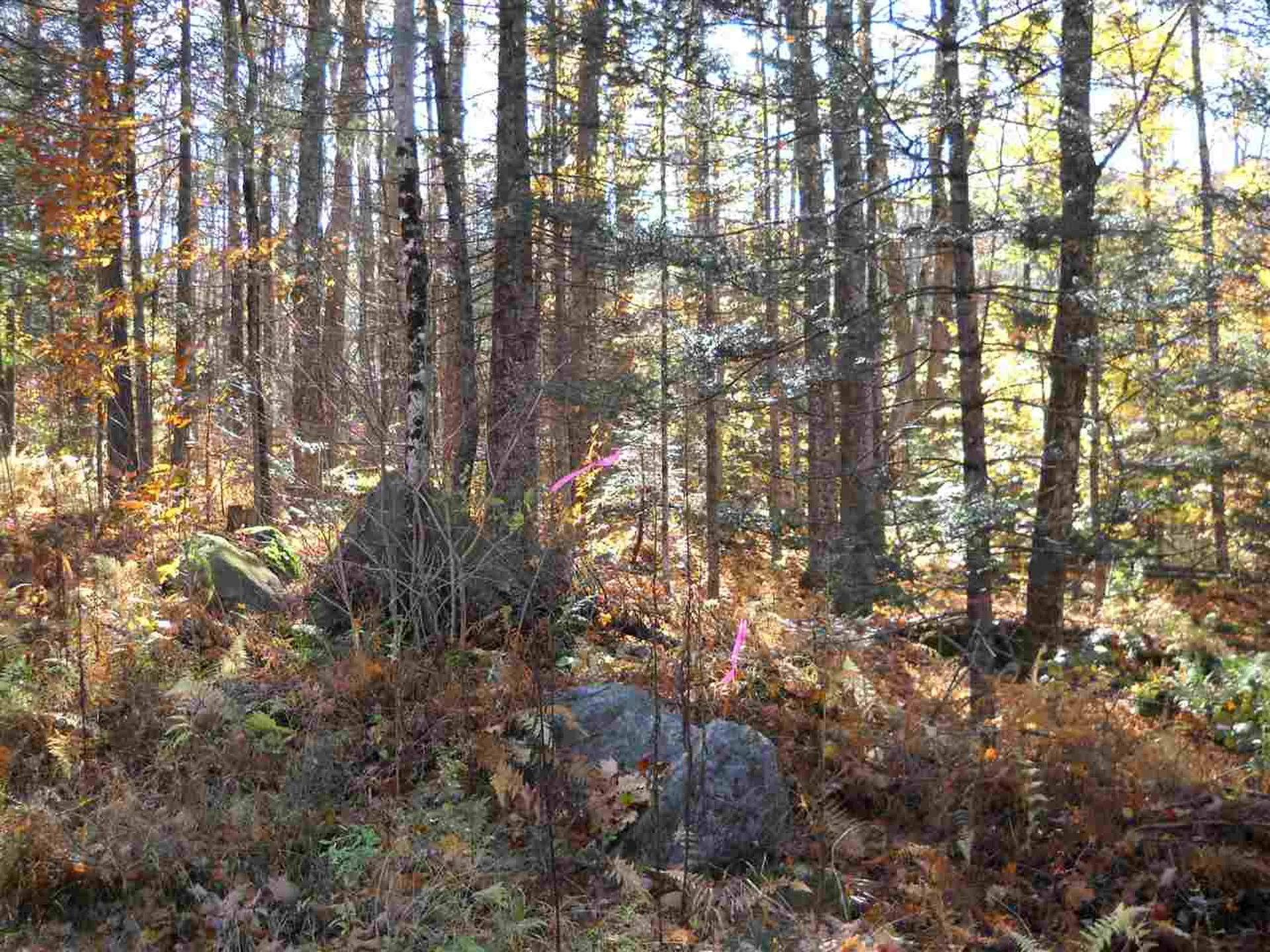 00 Piermont Heights Road Piermont NH 03779