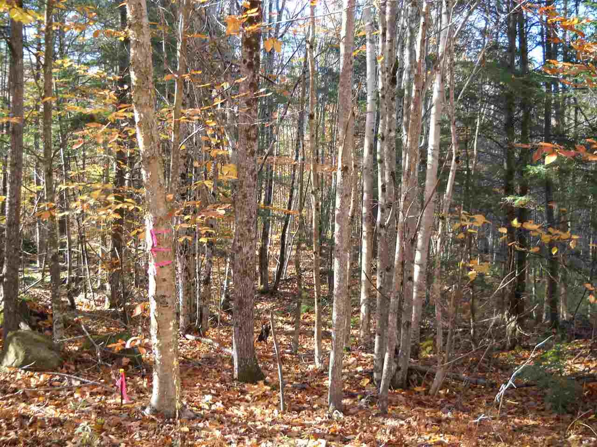 00 Piermont Heights Road Piermont NH 03779