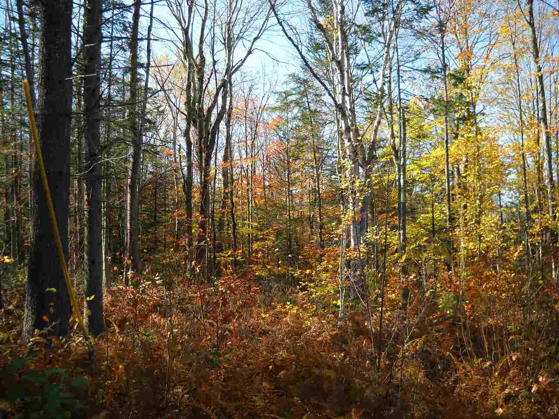 00 Piermont Heights Road Piermont NH 03779