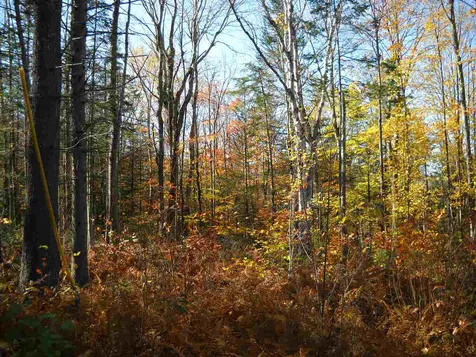 00 Piermont Heights Road Piermont NH 03779