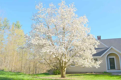 196 Sugarwood Lane Grantham NH 03753