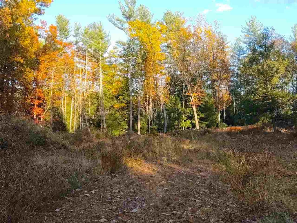 28 Pond Parrish Road Amherst NH 03031
