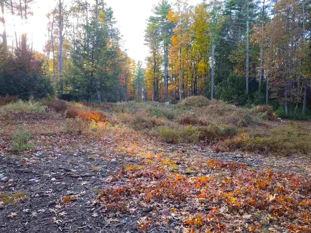 28 Pond Parrish Road Amherst NH 03031