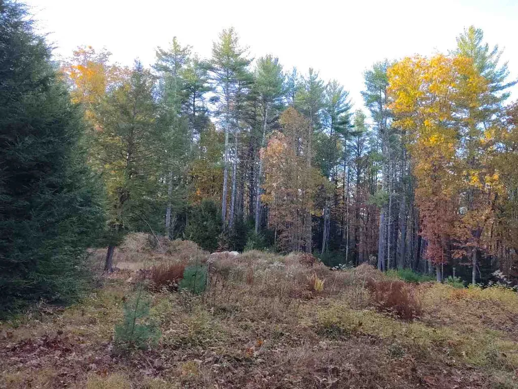 28 Pond Parrish Road Amherst NH 03031