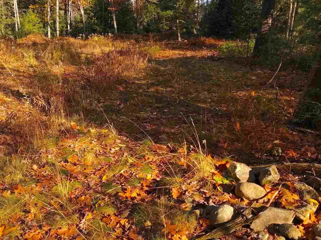 28 Pond Parrish Road Amherst NH 03031