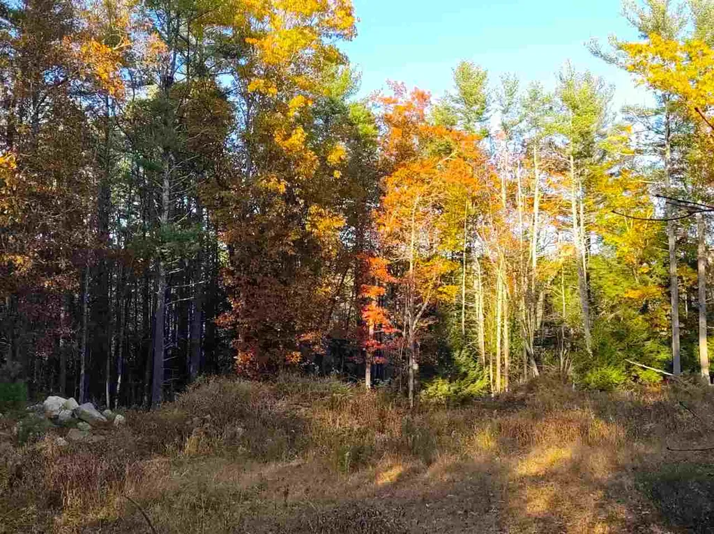 28 Pond Parrish Road Amherst NH 03031