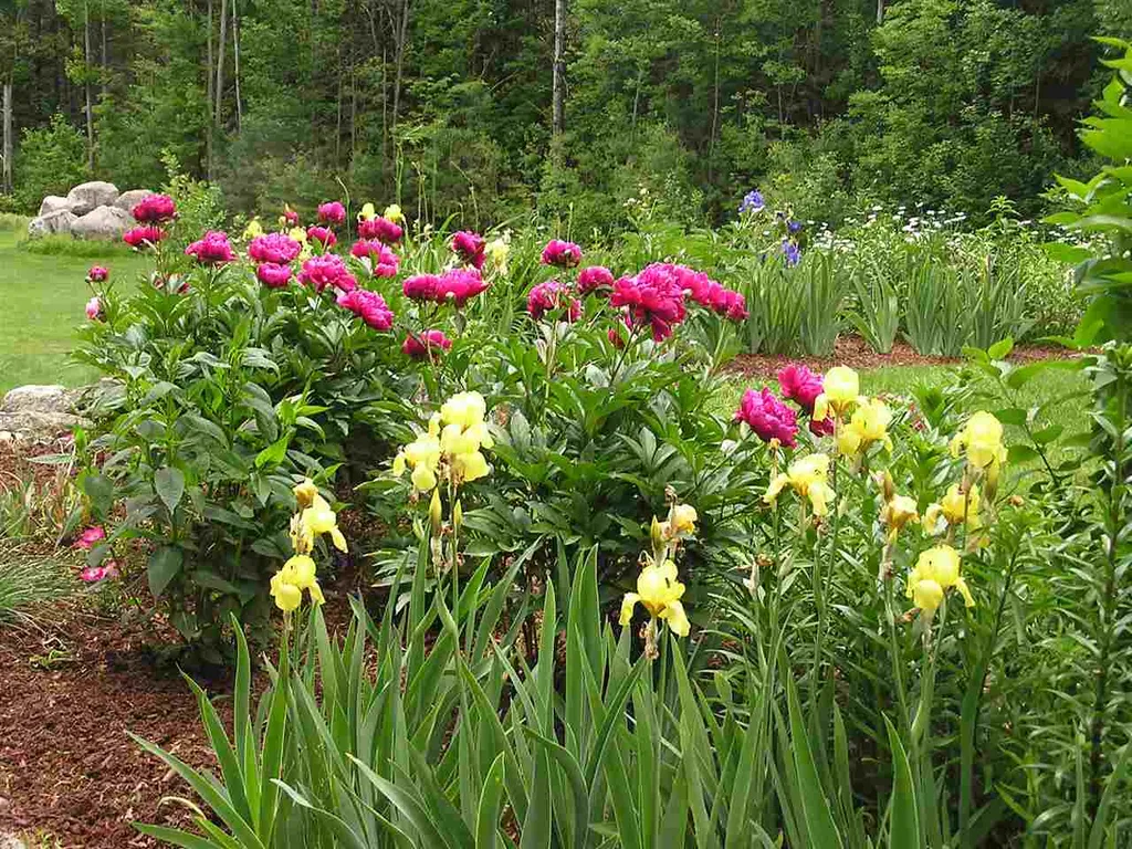 54 Cascade Road Wilmot NH 03287