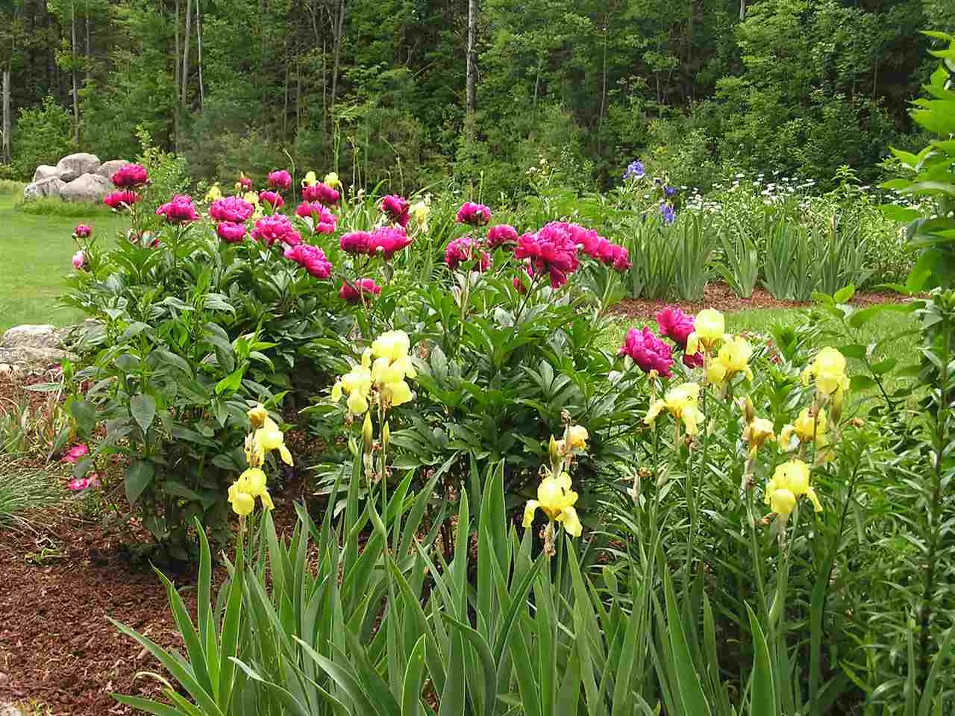54 Cascade Road Wilmot NH 03287