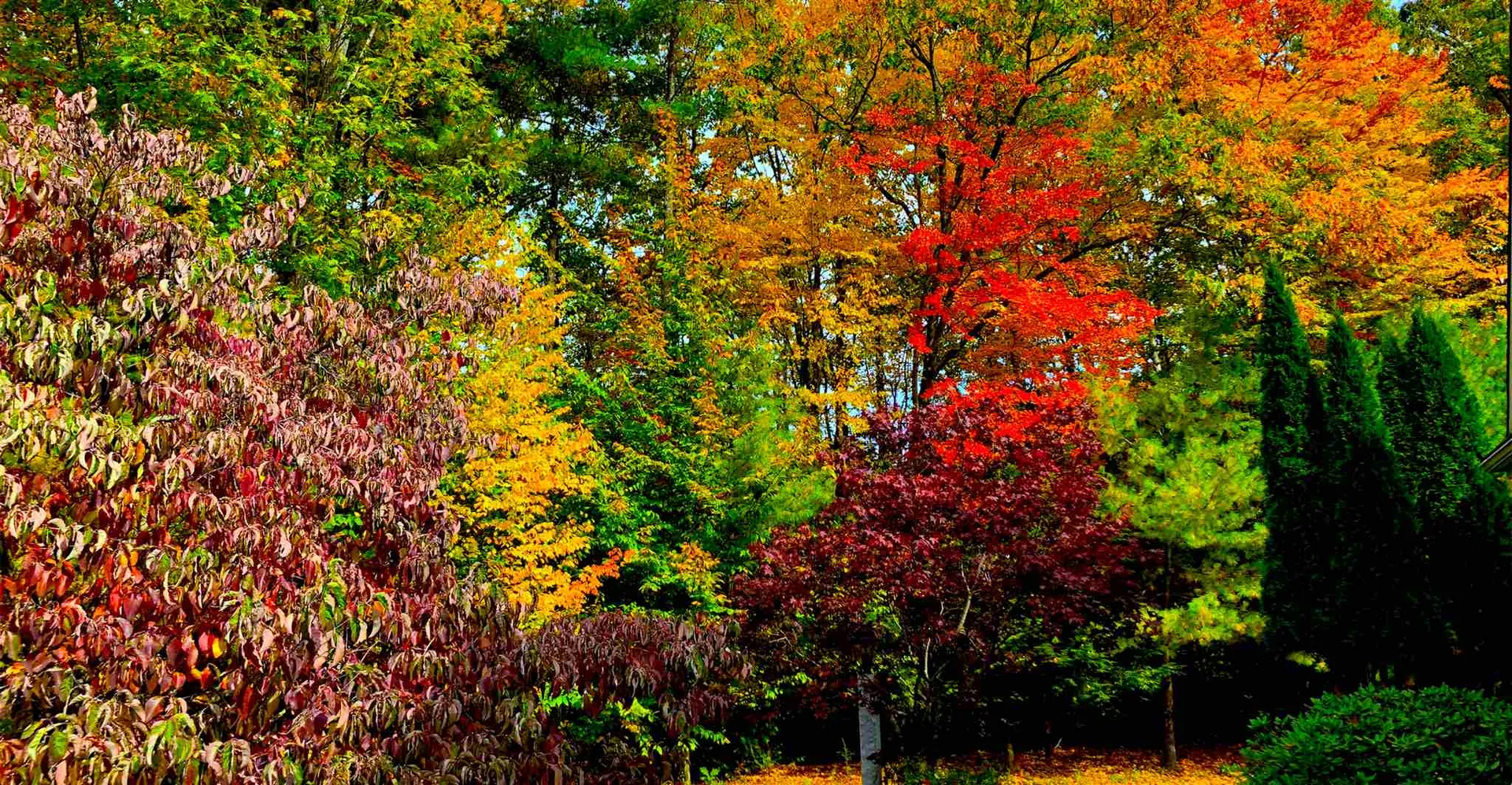 47 Coventry Road Concord NH 03301