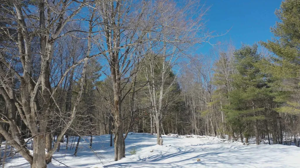 30 Etna Road Hanover NH 03755