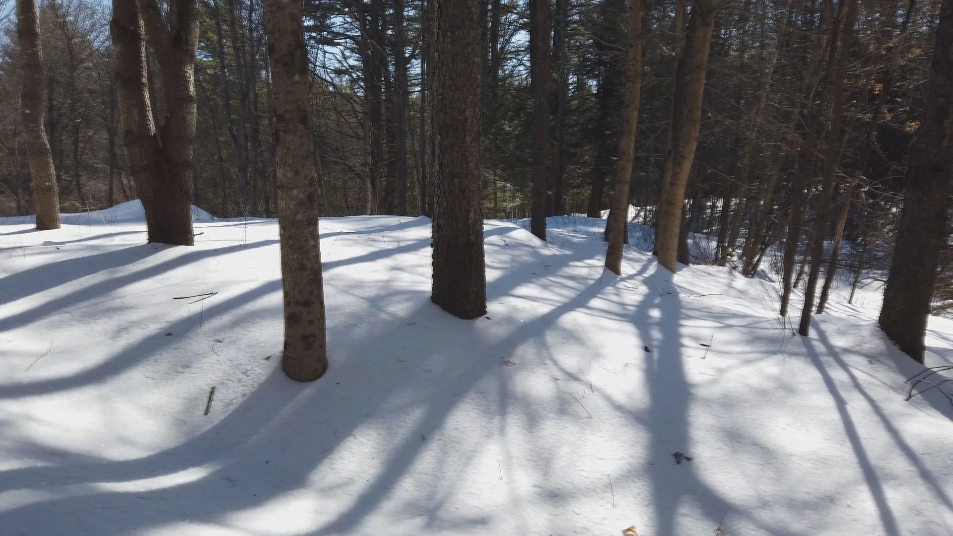 30 Etna Road Hanover NH 03755