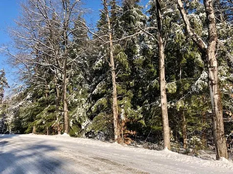 Ford Farm Lane Ludlow VT 05149