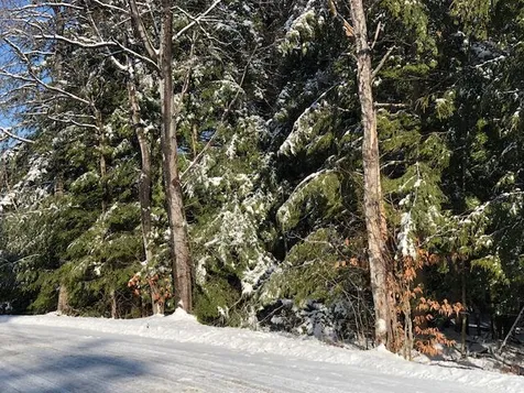 Ford Farm Lane Ludlow VT 05149