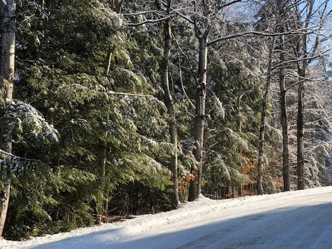 Ford Farm Lane Ludlow VT 05149