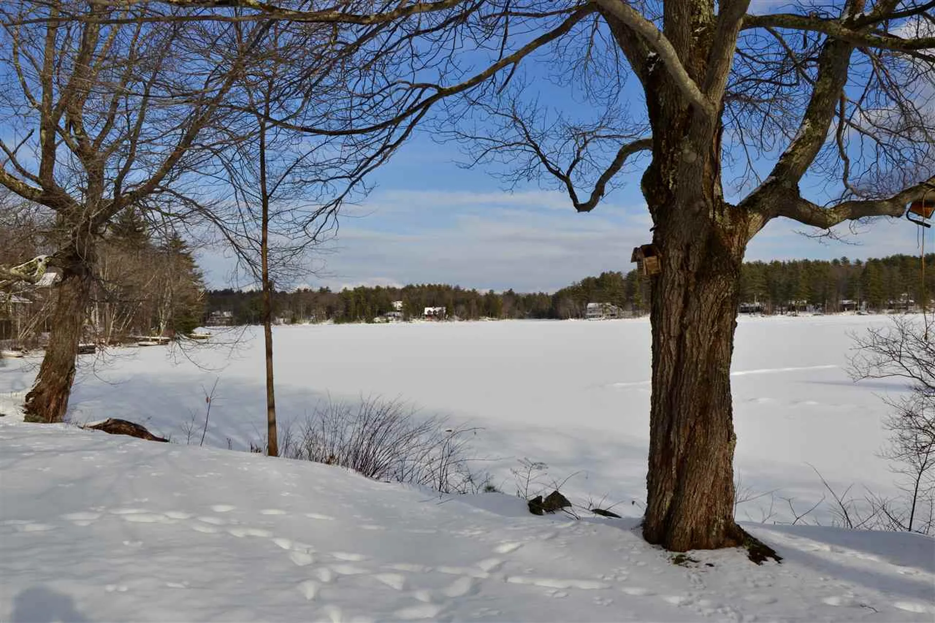 15 Millwood Road Wolfeboro NH 03894