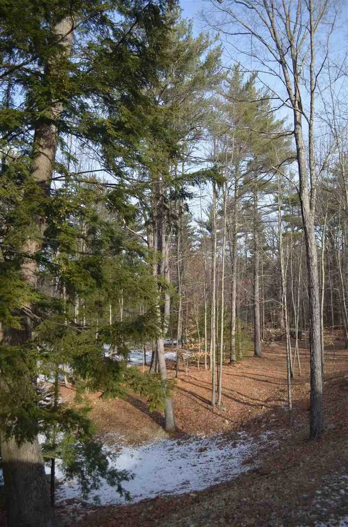 341 Flanders Road Henniker NH 03242