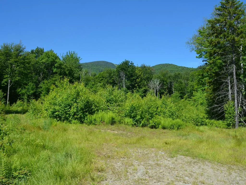 00 Slide Brook Drive Fayston VT 05673