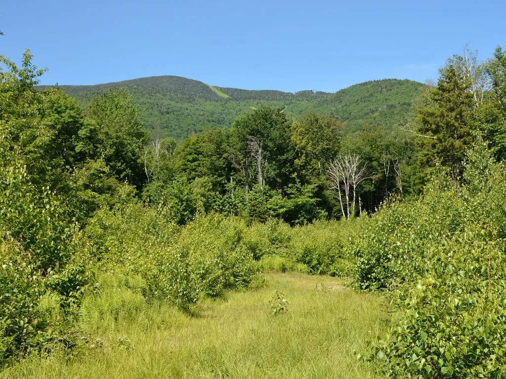 00 Slide Brook Drive Fayston VT 05673