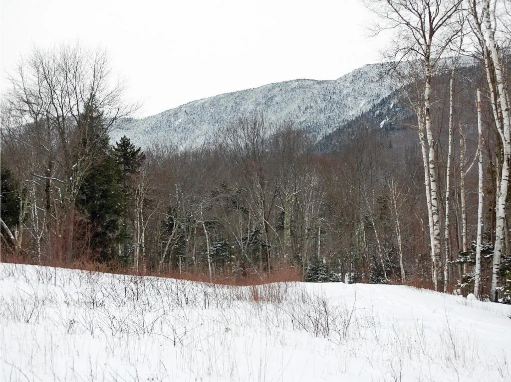 00 Slide Brook Drive Fayston VT 05673