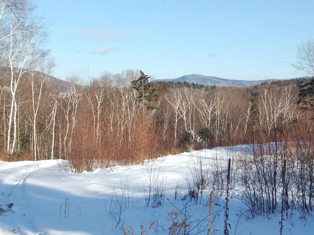 00 Slide Brook Drive Fayston VT 05673