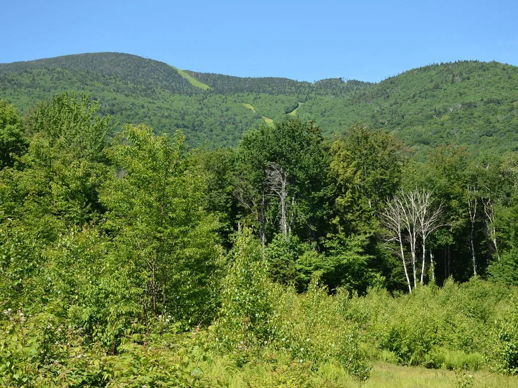 00 Slide Brook Drive Fayston VT 05673