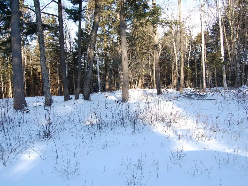 00 Slide Brook Drive Fayston VT 05673