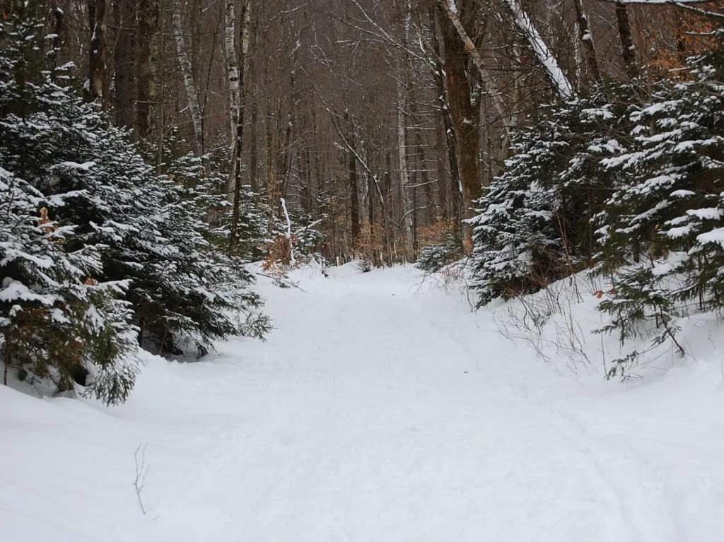 00 Slide Brook Drive Fayston VT 05673