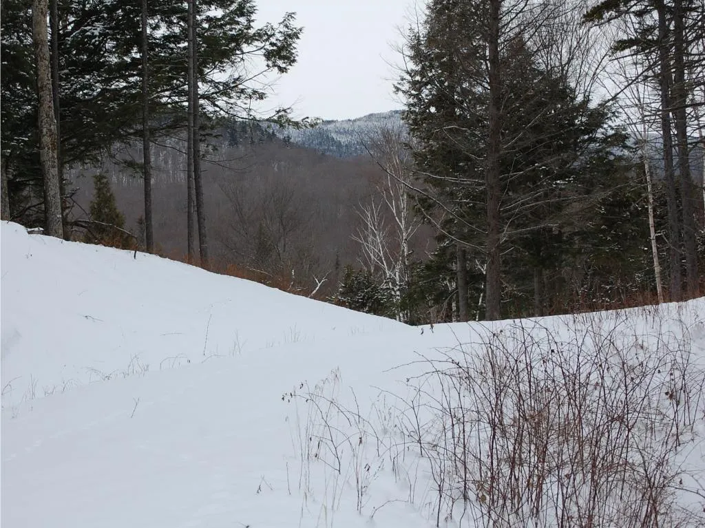00 Slide Brook Drive Fayston VT 05673