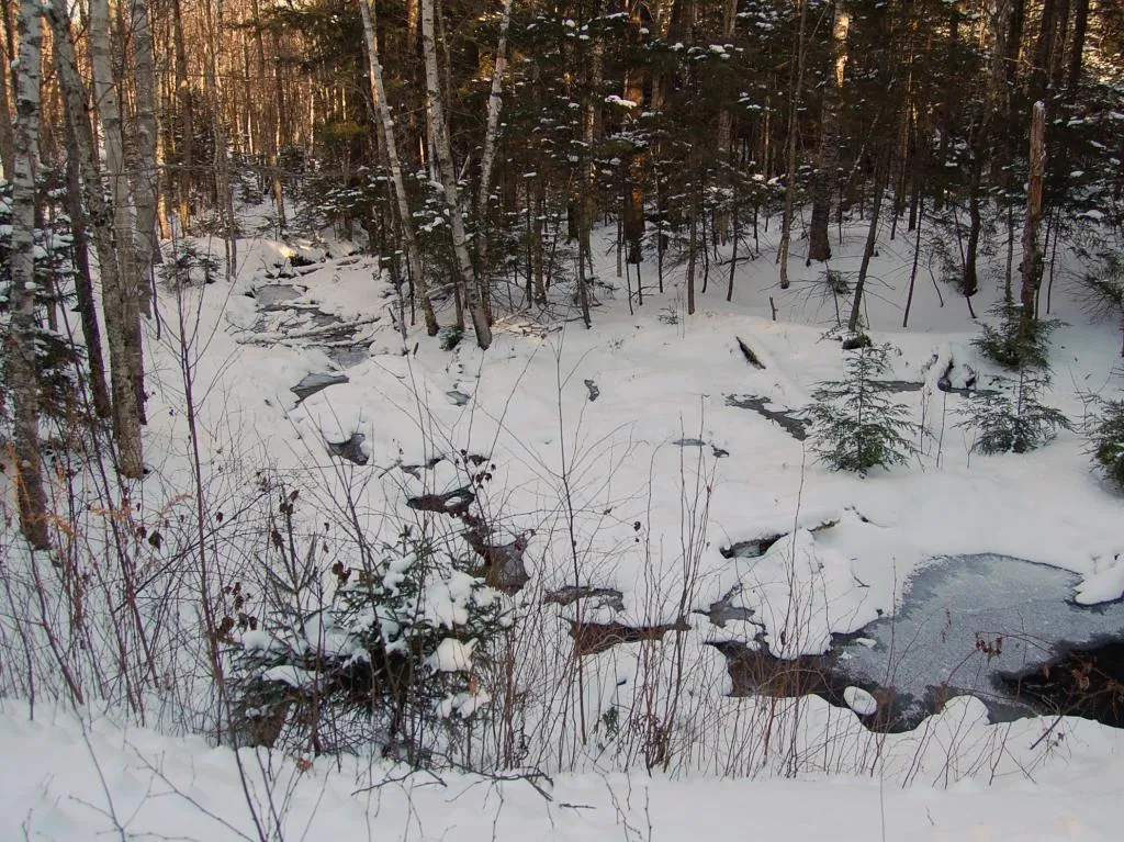 00 Slide Brook Drive Fayston VT 05673