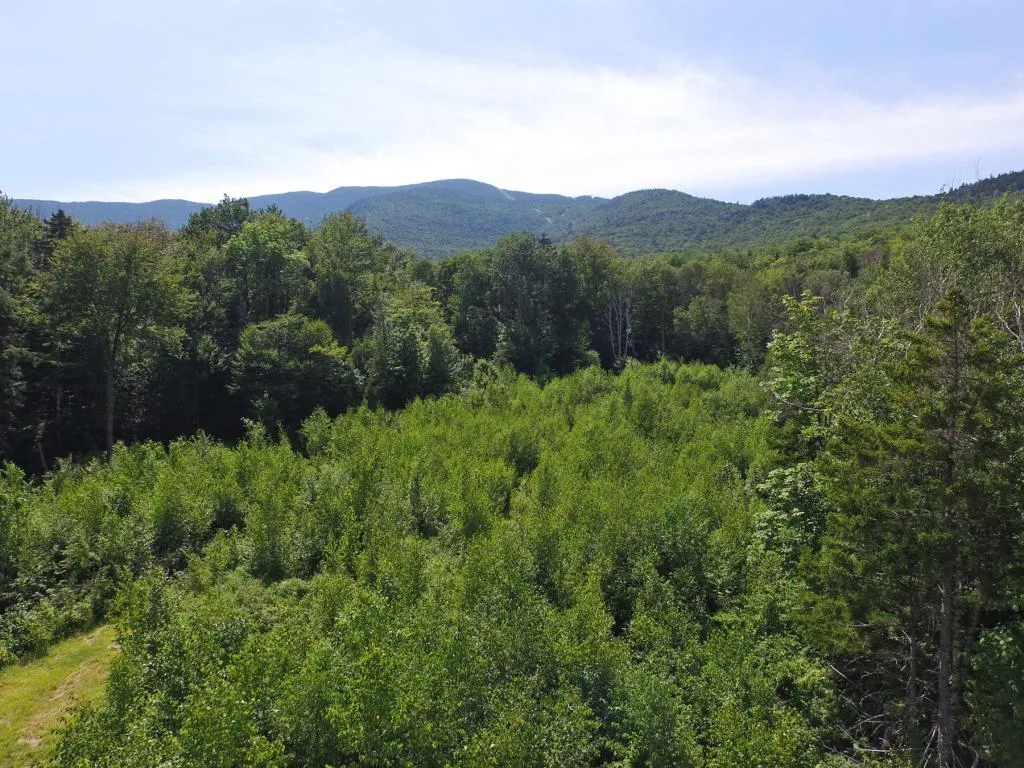 00 Slide Brook Drive Fayston VT 05673