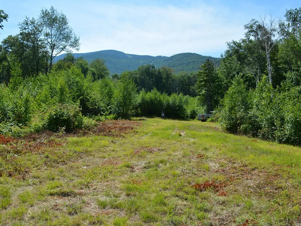 00 Slide Brook Drive Fayston VT 05673