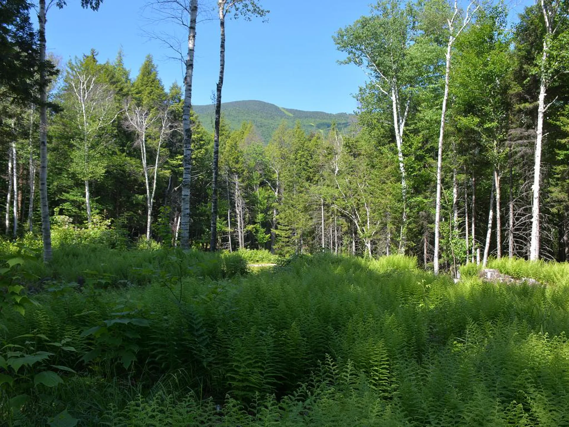 00 Slide Brook Drive Fayston VT 05673