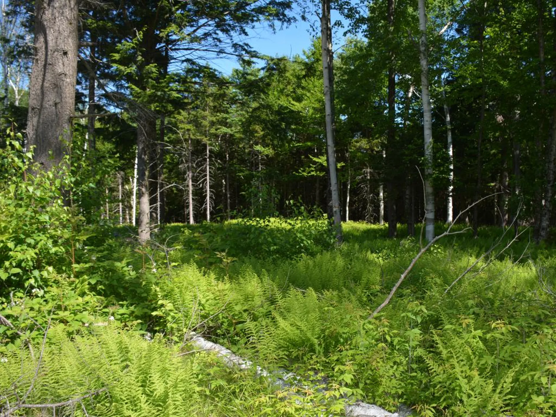 00 Slide Brook Drive Fayston VT 05673