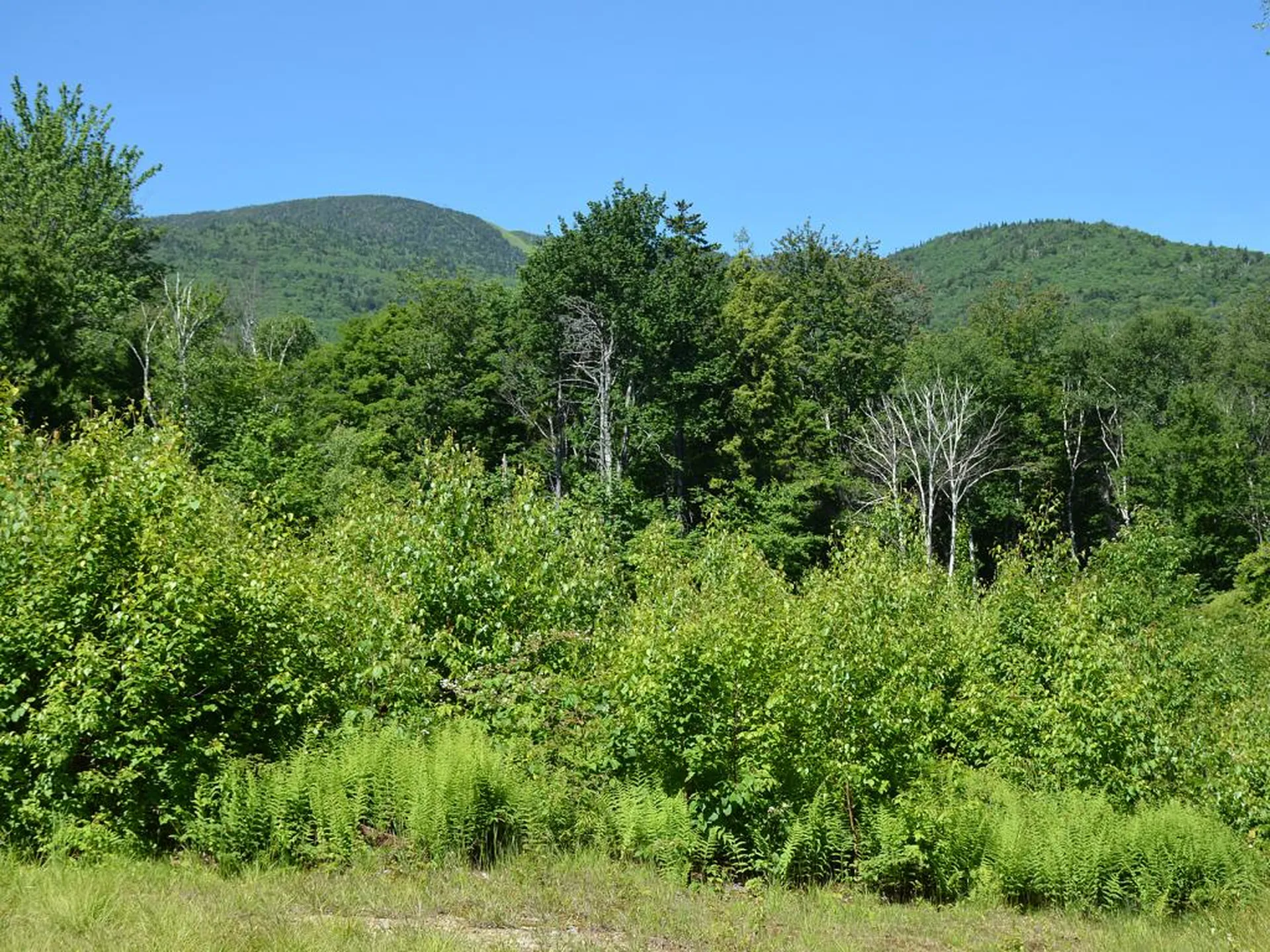 00 Slide Brook Drive Fayston VT 05673