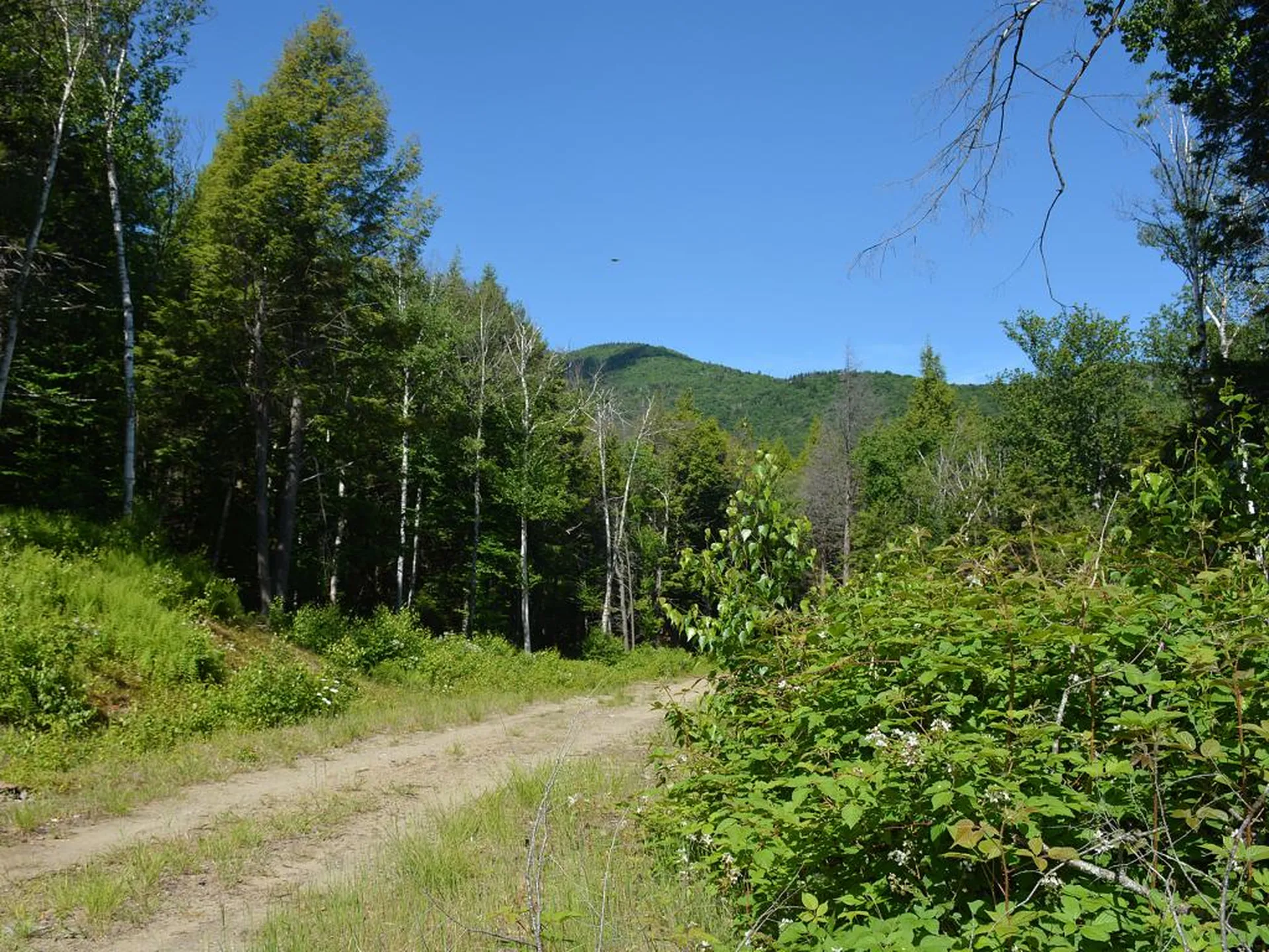 00 Slide Brook Drive Fayston VT 05673