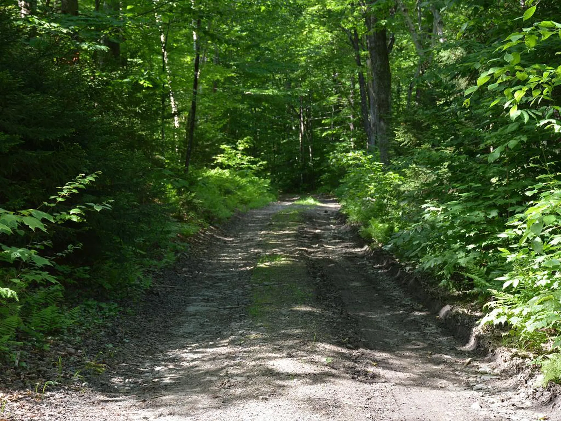 00 Slide Brook Drive Fayston VT 05673