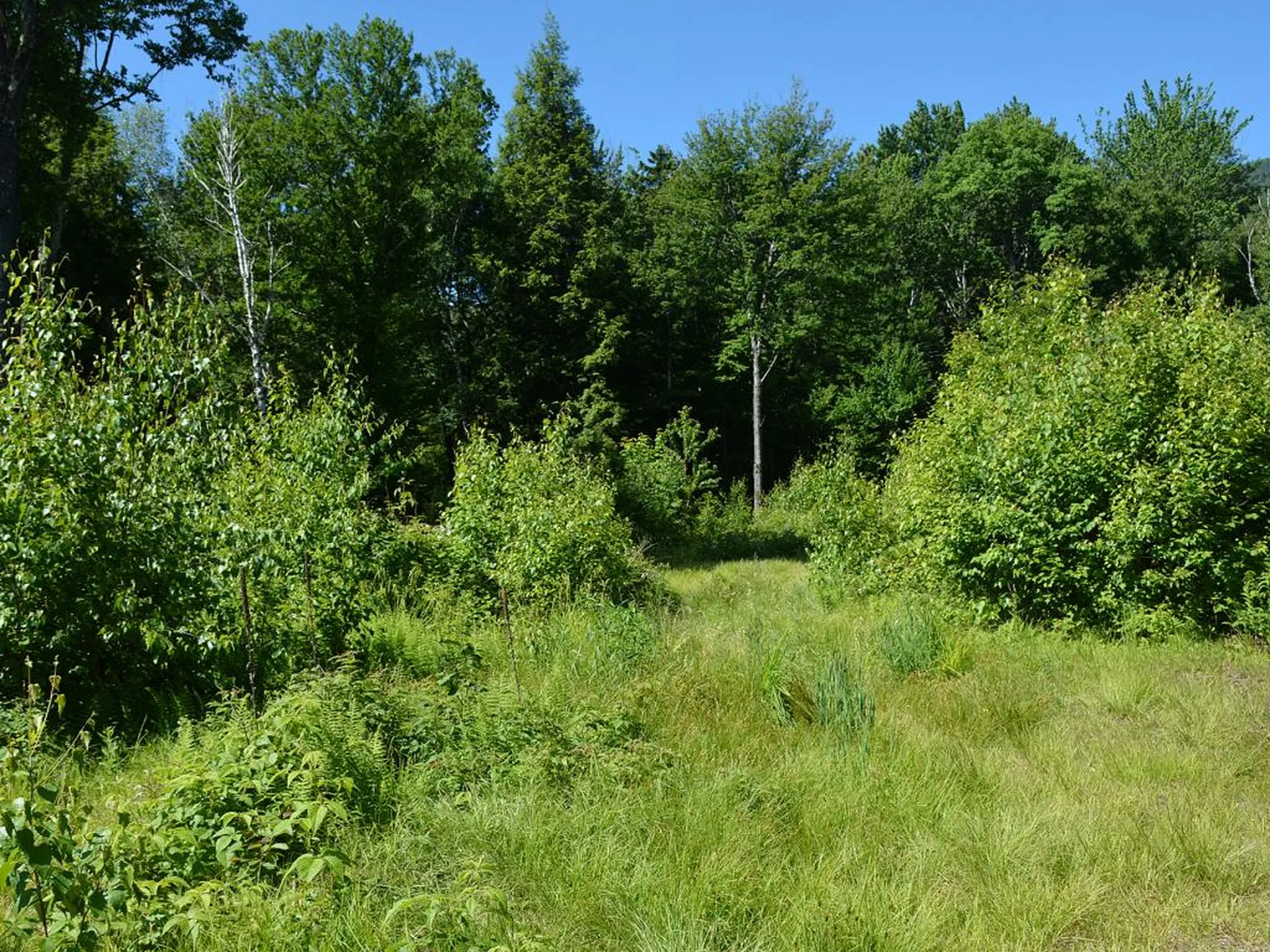00 Slide Brook Drive Fayston VT 05673