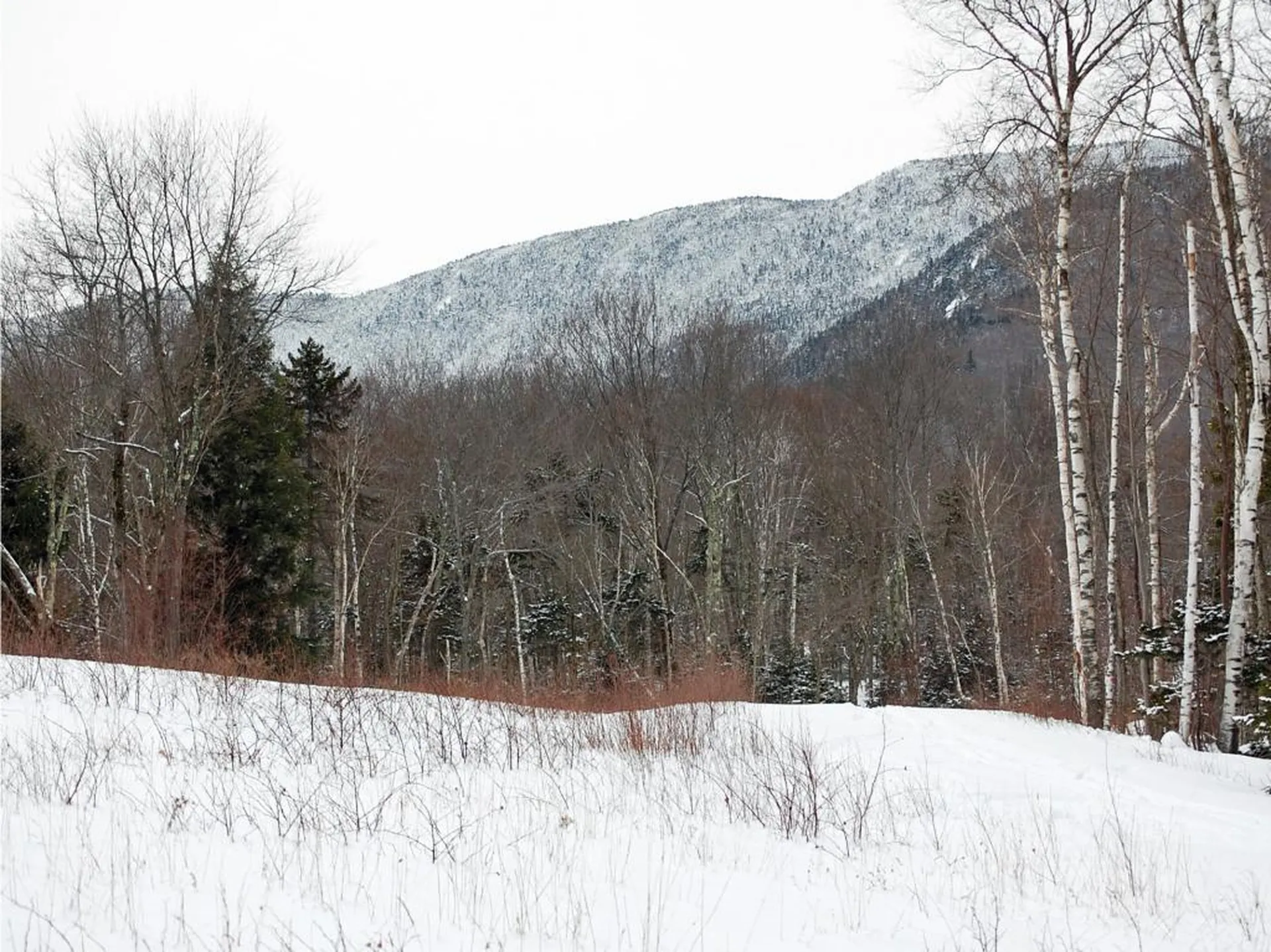 00 Slide Brook Drive Fayston VT 05673