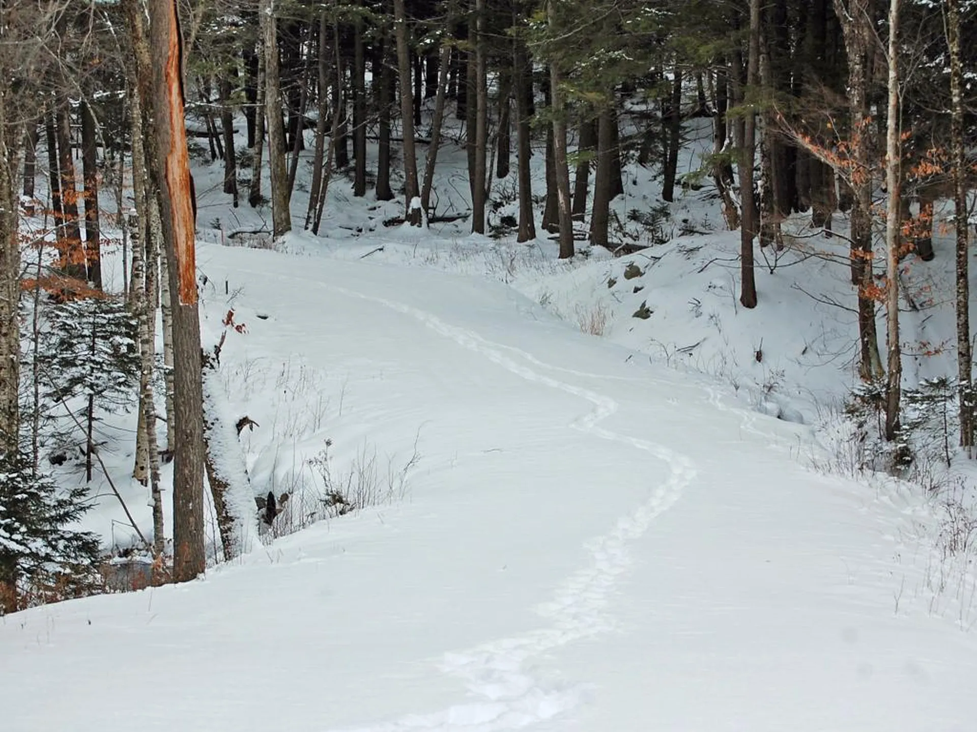 00 Slide Brook Drive Fayston VT 05673