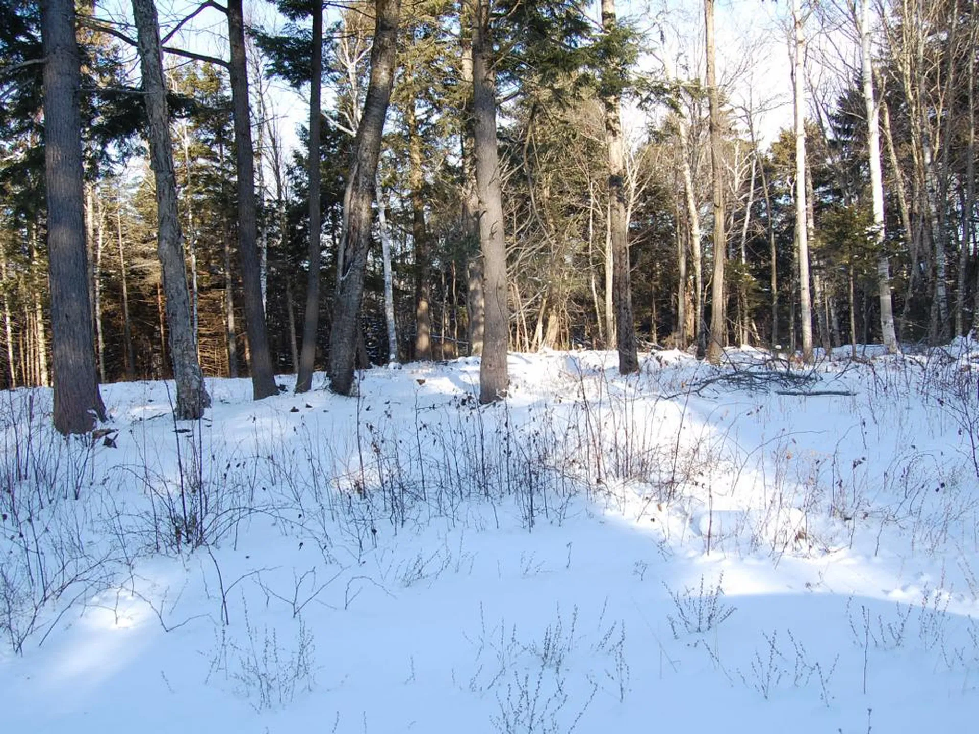 00 Slide Brook Drive Fayston VT 05673