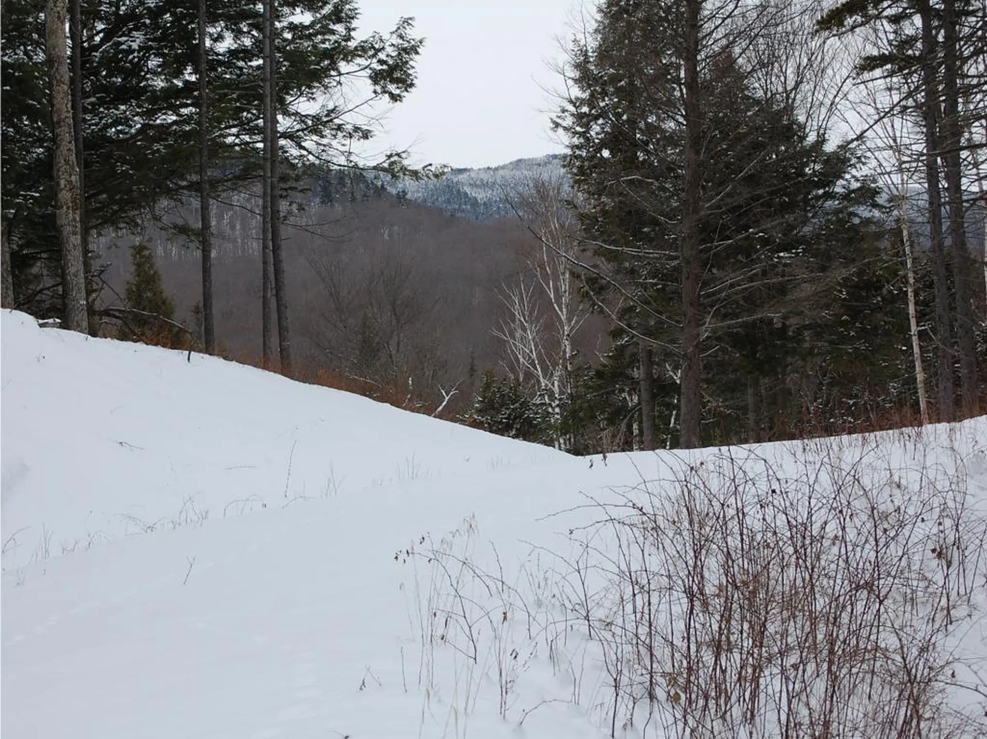 00 Slide Brook Drive Fayston VT 05673
