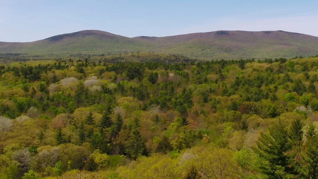 585 Grafton Turnpike Road Canaan NH 03741
